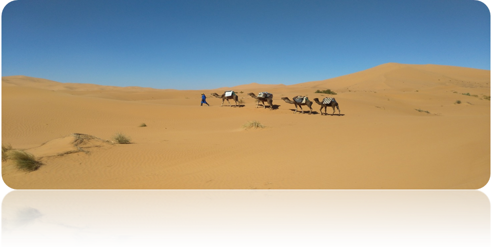 Trekking nel sahara